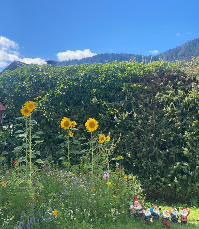 Hotel Garni LIVING San Candido Esterno foto